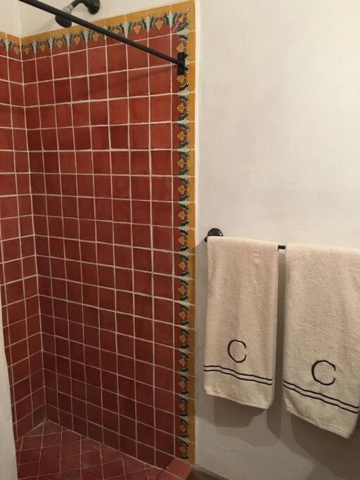 圣米格尔－德阿连德Casa Corazon Centro San Miguel Allende别墅 外观 照片